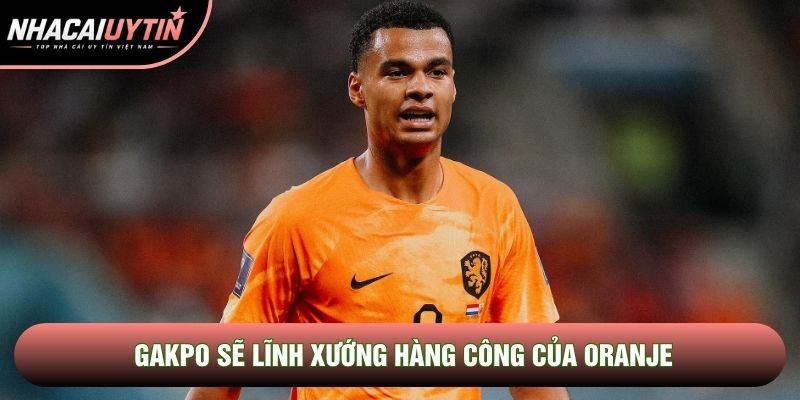 Gakpo sẽ lĩnh xướng hàng công của Oranje Gakpo sẽ lĩnh xướng hàng công của Oranje