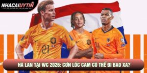 Đội Tuyển Hà Lan Tại WC 2026: Cơn Lốc Cam Có Thể Đi Bao Xa?