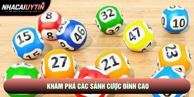 Khám phá các sảnh cược đỉnh cao