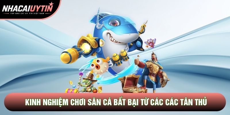 Kinh nghiệm chơi săn cá bất bại từ các các tân thủ Kinh nghiệm chơi săn cá bất bại từ các các tân thủ