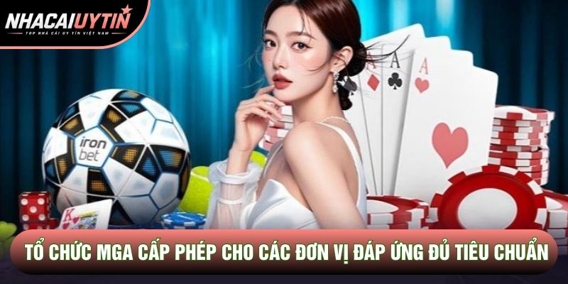 Tổ chức MGA cấp phép cho các đơn vị đáp ứng đủ tiêu chuẩn Tổ chức MGA cấp phép cho các đơn vị đáp ứng đủ tiêu chuẩn